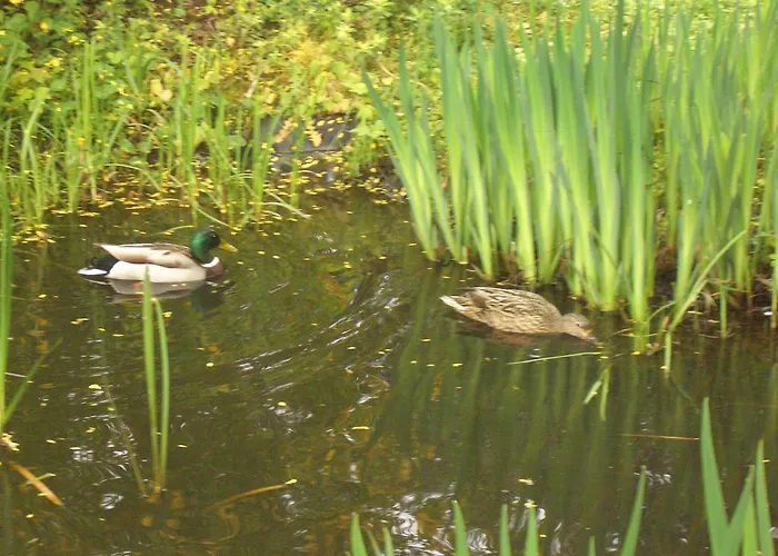 Hotel Battenfeld Plettenberg